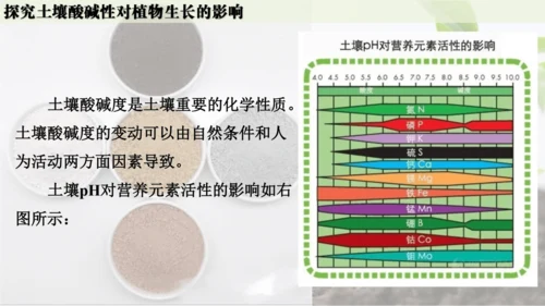 跨学科实践活动9  探究土壤酸碱性对植物生长的影响课件(共33张PPT)
