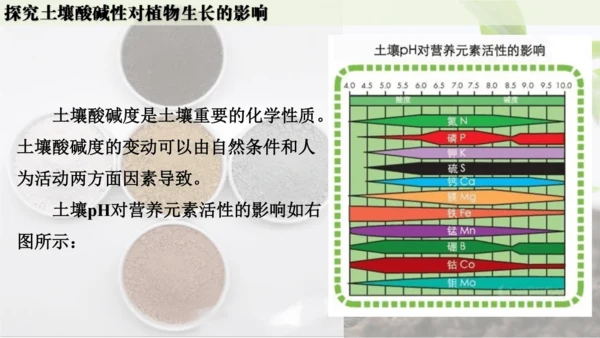 跨学科实践活动9  探究土壤酸碱性对植物生长的影响课件(共33张PPT)