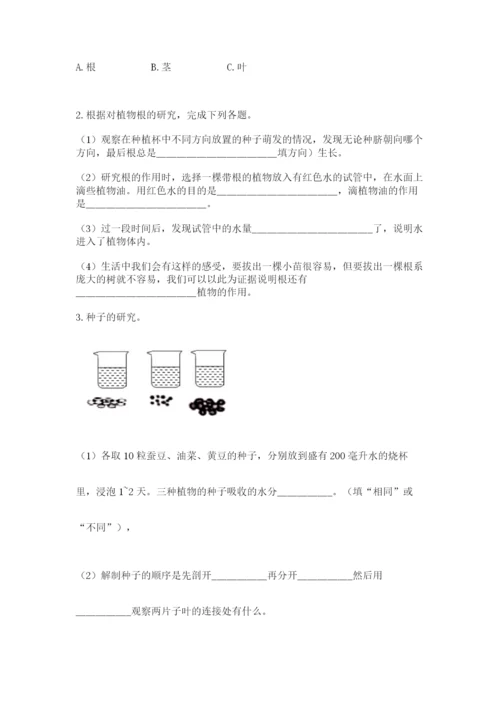 教科版科学四年级下册第一单元《植物的生长变化》测试卷附答案.docx