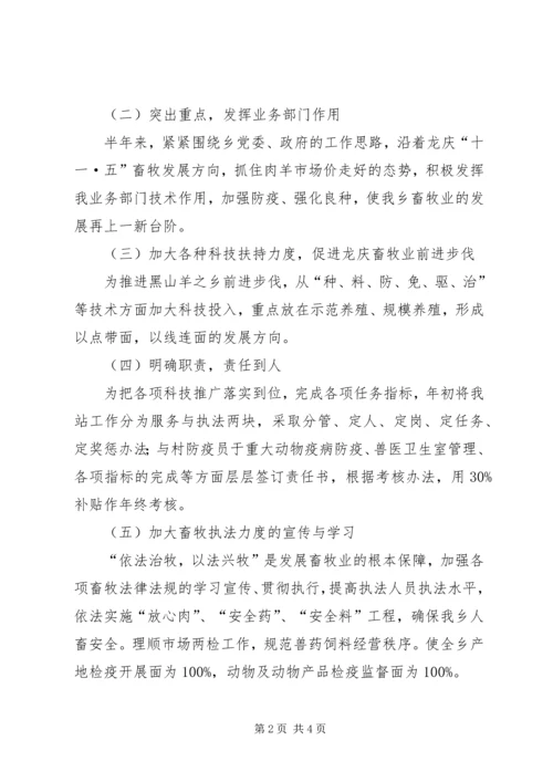 畜牧兽医站上半年工作总结与下半年工作计划精编.docx