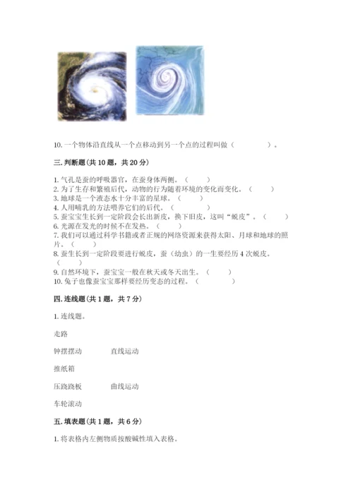 教科版小学科学三年级下册期末测试卷【能力提升】.docx