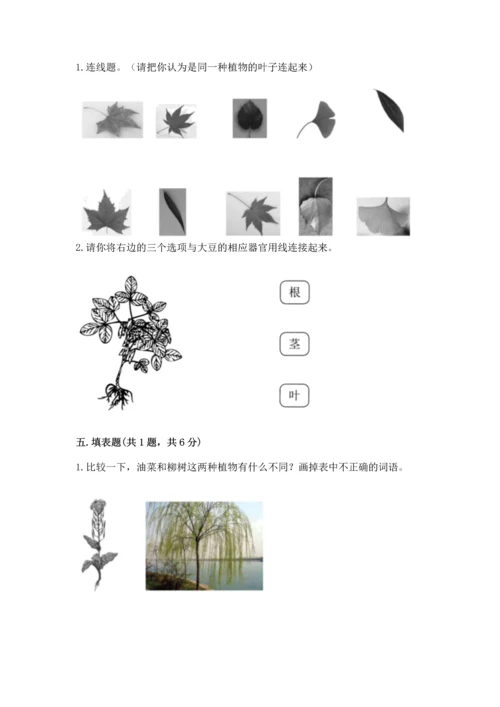 教科版科学一年级上册第一单元《植物》测试卷【名师系列】.docx