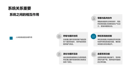 解剖学教学深度解析PPT模板