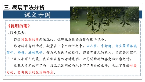 专题06 散文阅读【考点串讲】-2023-2024学年八年级语文上学期期末考点大串讲（统编版）(共3