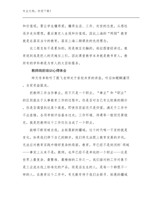 教师岗前培训心得体会优选例文9篇.docx