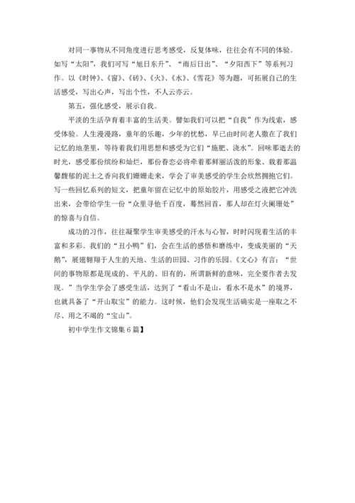 初中学生作文锦集6篇.docx