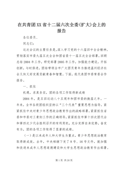 在共青团XX省十二届六次全委(扩大)会上的报告 (3).docx