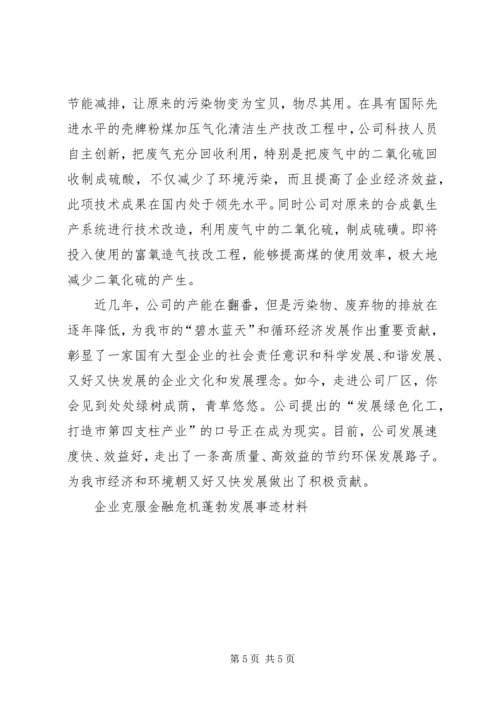 企业克服金融危机蓬勃发展事迹材料.docx
