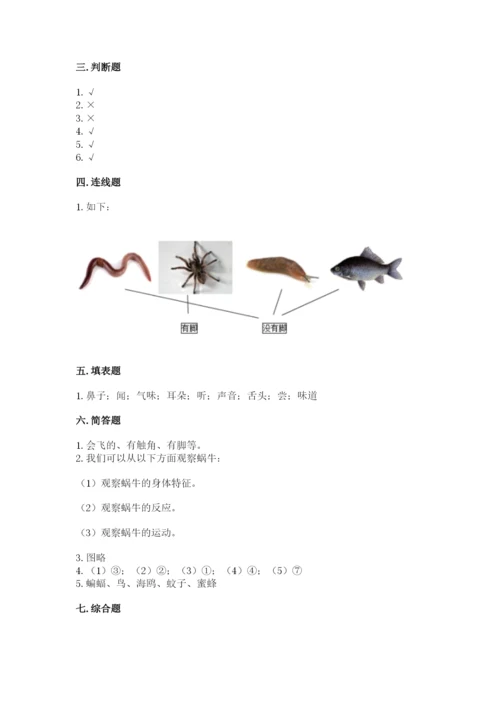 教科版一年级下册科学期末测试卷附答案（轻巧夺冠）.docx