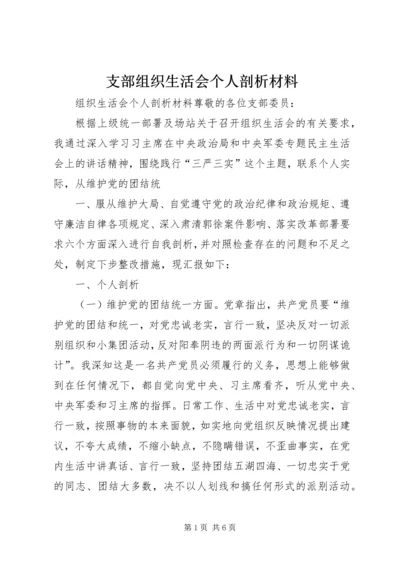 支部组织生活会个人剖析材料 (2).docx