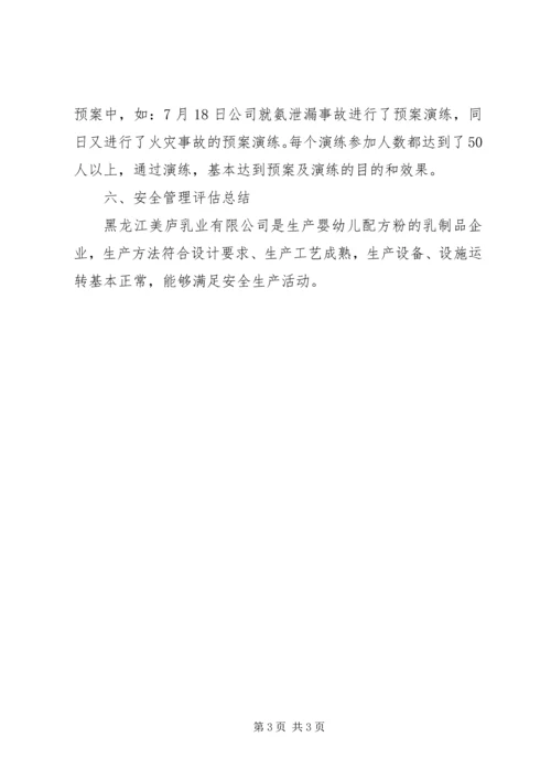 安全生产评估报告 (3).docx