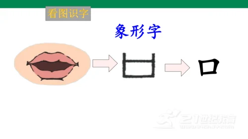 识字3  口耳目   课件