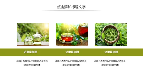 清新茶文化茶叶绿茶产品介绍动态PPT模板