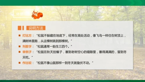 17 松鼠 第二课时课件