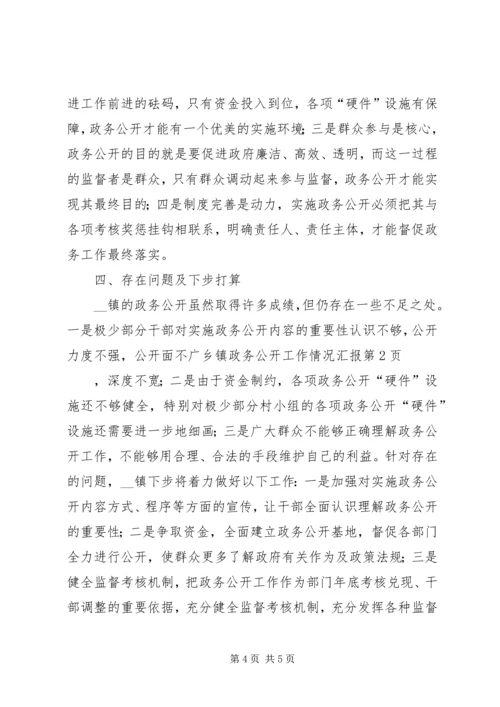 乡镇政务公开工作情况汇报.docx