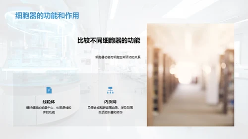 生命之源：细胞揭秘