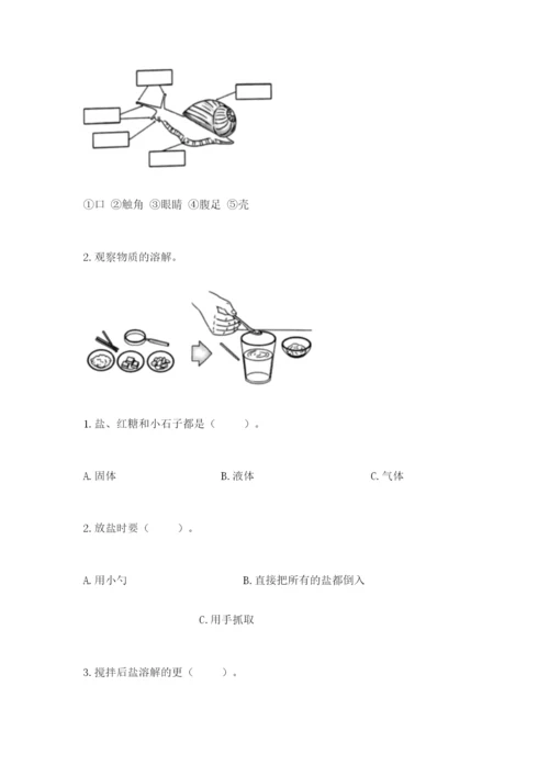 教科版一年级下册科学期末测试卷精品【考点梳理】.docx