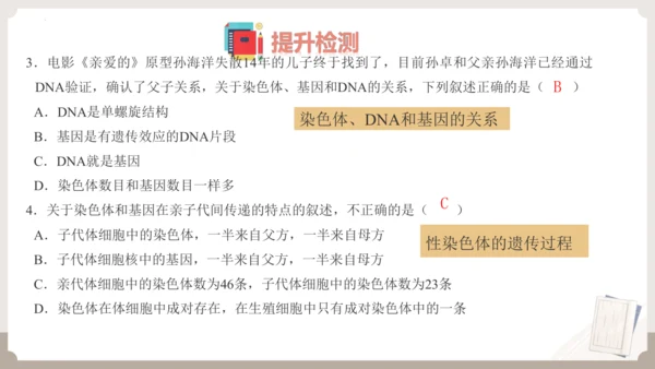 复习专题六生物的遗传与变异（串讲课件）-八年级生物上学期期末考点大串讲（人教版）(共23张PPT)