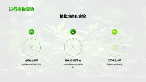 揭秘绿色生命