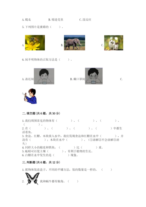教科版一年级下册科学期末测试卷附参考答案（培优a卷）.docx