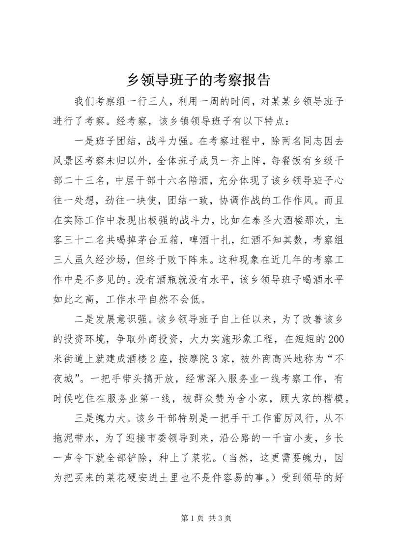 乡领导班子的考察报告.docx