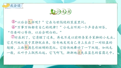 【核心素养】部编版语文二年级下册-22. 小毛虫 第1课时（课件）