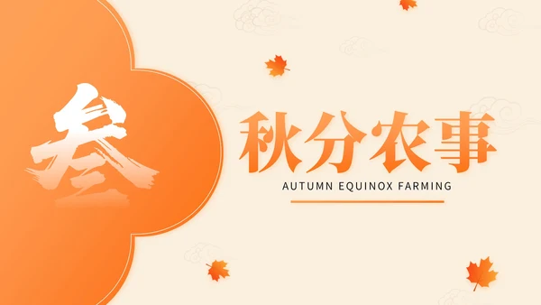 橙色中国风秋分节气文化知识讲座PPT模版