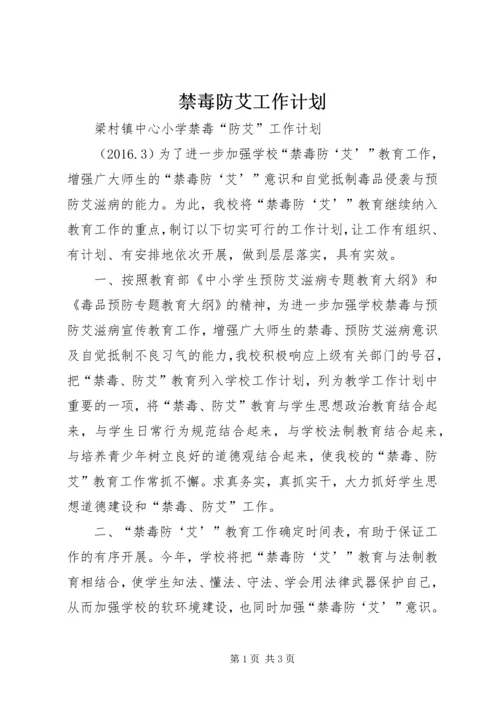 禁毒防艾工作计划 (2).docx