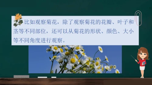 统编版语文三年级上册 第五单元习作： 我们眼中的缤纷世界课件