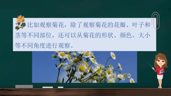 统编版语文三年级上册 第五单元习作： 我们眼中的缤纷世界课件
