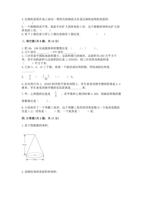 （小升初）六年级下册数学期末测试卷及完整答案（网校专用）.docx