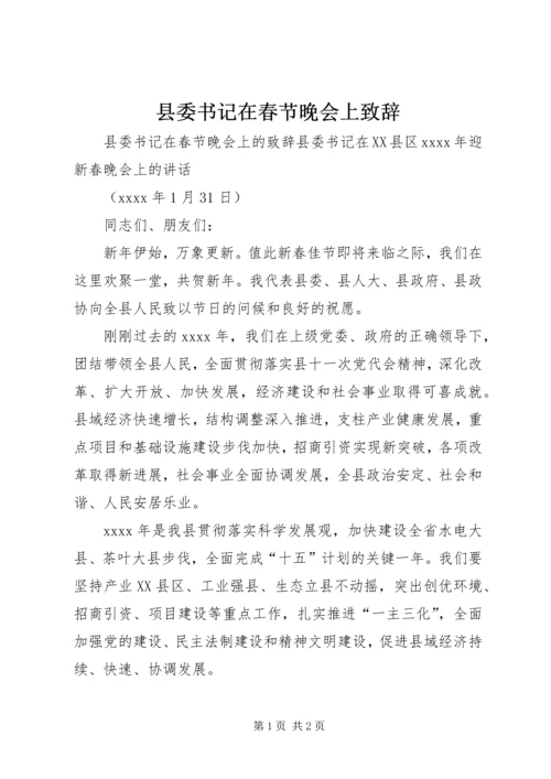 县委书记在春节晚会上致辞.docx