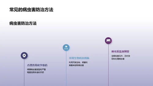 花卉种植技艺解析