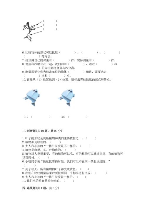 教科版科学一年级上册期末测试卷及答案解析.docx