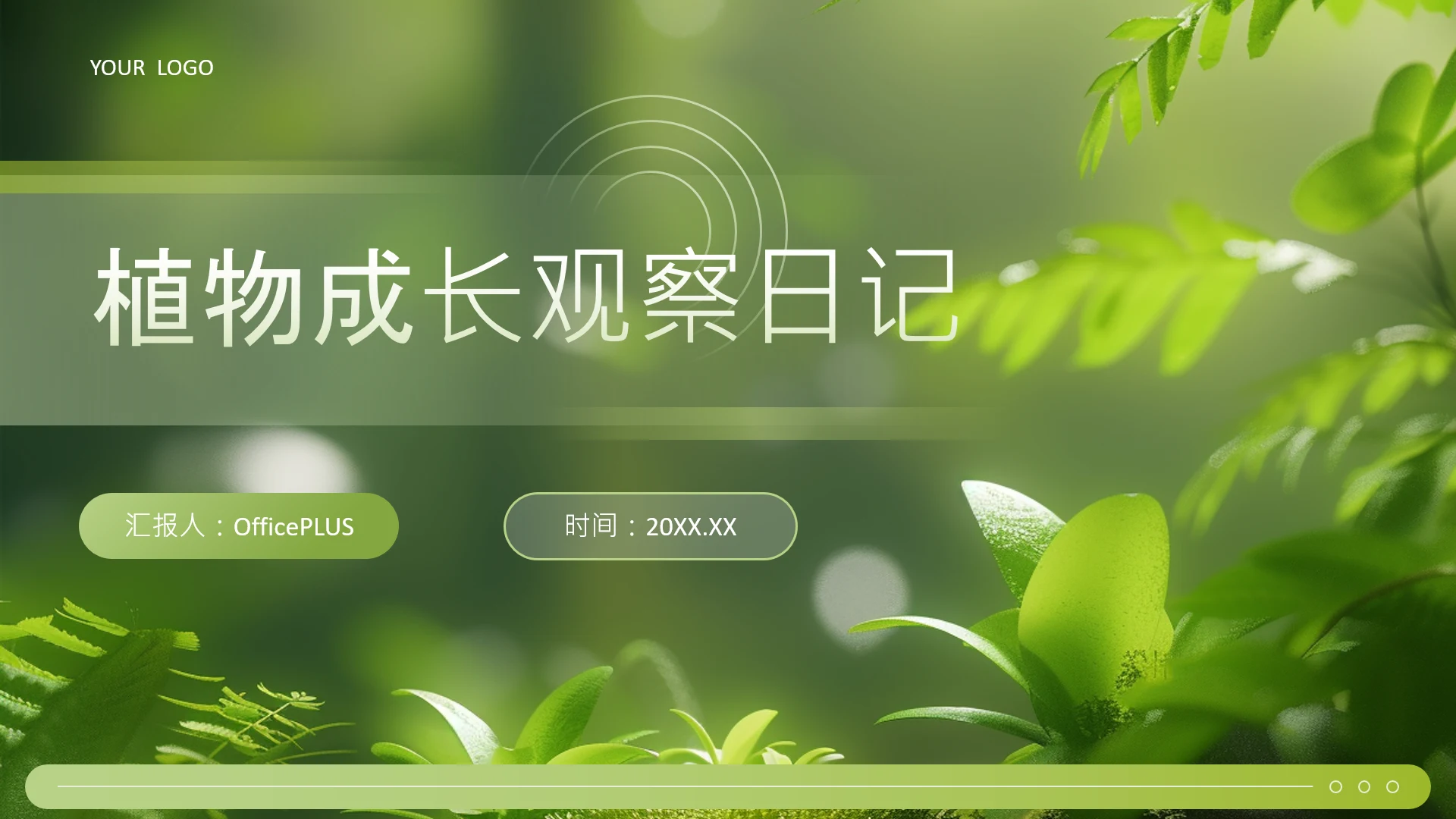 绿色简约风教育行业植物成长观察日记PPT