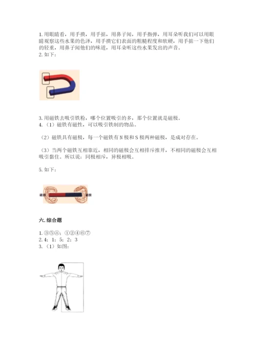 教科版二年级下册科学期末测试卷带答案.docx