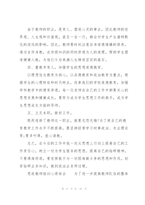 思政教师培训心得体会.docx