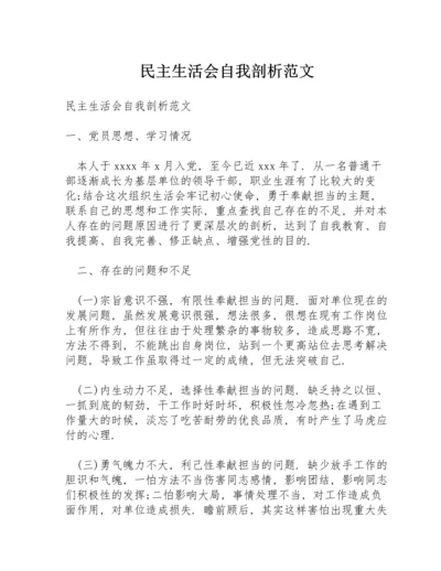 民主生活会自我剖析范文.docx