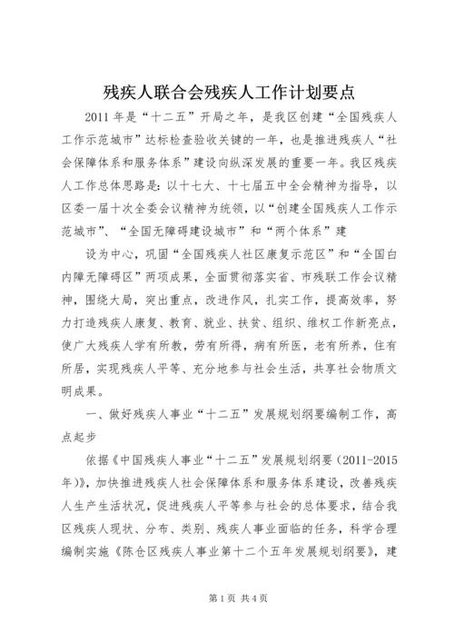 残疾人联合会残疾人工作计划要点.docx