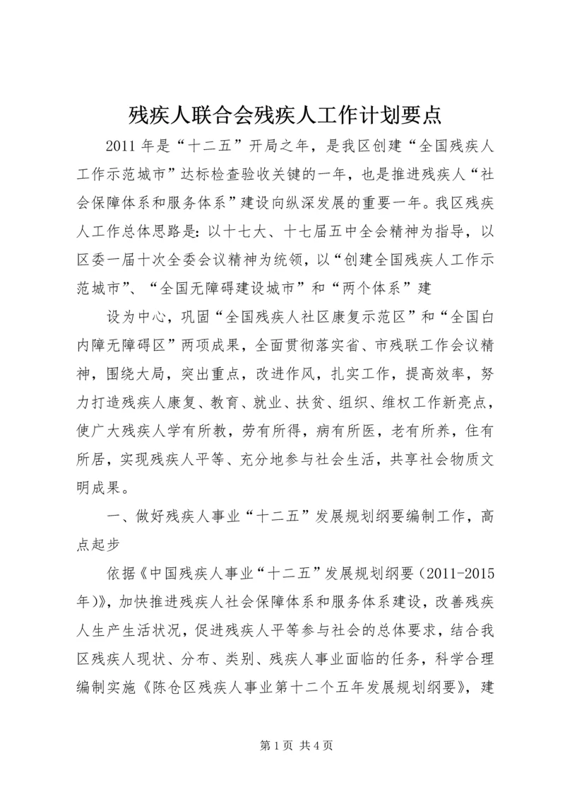 残疾人联合会残疾人工作计划要点.docx