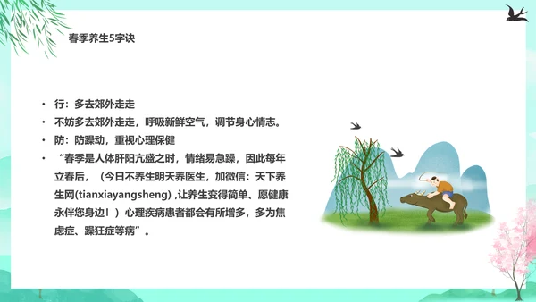 诗意的春天，春分养生知识通用PPT模板