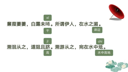 12《诗经》二首 蒹葭 课件