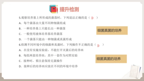 人教版生物八年级上册2.3 细菌、真菌和病毒 本章复习课件(共23张PPT)+视频素材