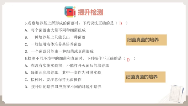 人教版生物八年级上册2.3 细菌、真菌和病毒 本章复习课件(共23张PPT)+视频素材