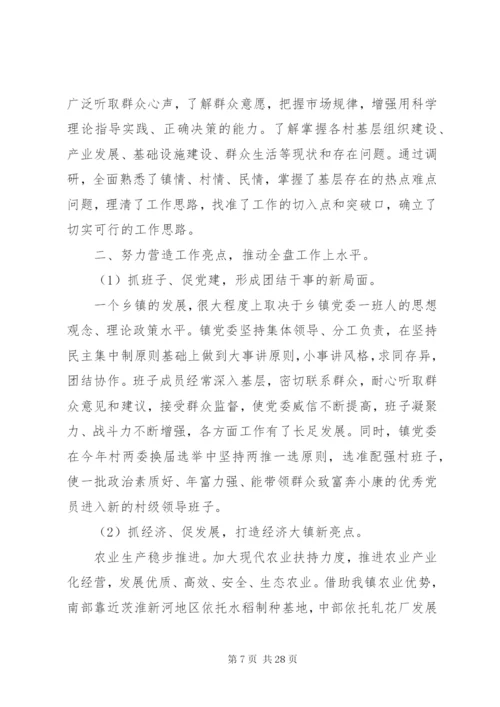 乡镇党委工作总结模板4篇.docx