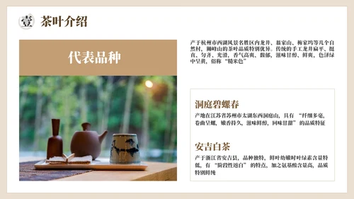 棕色茶产品介绍宣传PPT模板