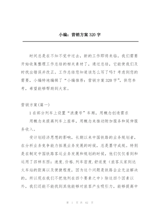 小编：营销方案320字.docx