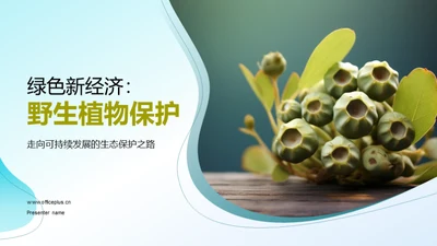 绿色新经济：野生植物保护