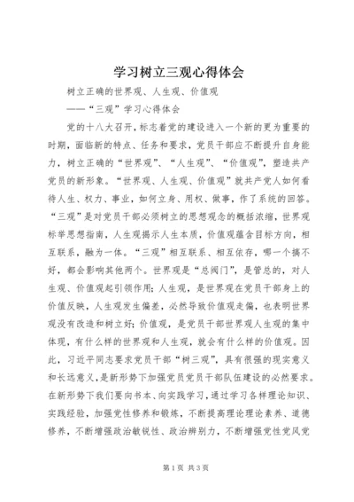 学习树立三观心得体会 (4).docx