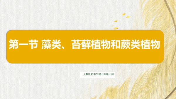 人教版（2024）七年级上册2.1.1藻类、苔藓植物和蕨类植物(共17张PPT)+视频素材